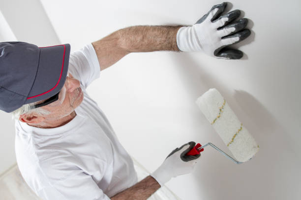Best Mold Removal for HVAC Installations  in Suitland, MD