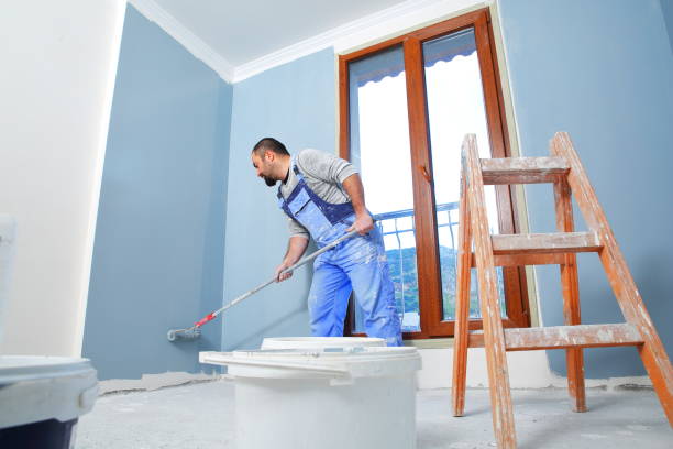 Best Mold-Related Health Consultation  in Suitland, MD