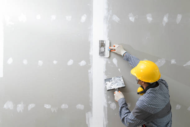Best Mold Damage Restoration  in Suitland, MD