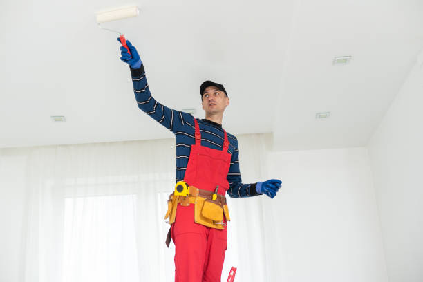 Best Comprehensive Air Testing for Mold Contaminants  in Suitland, MD