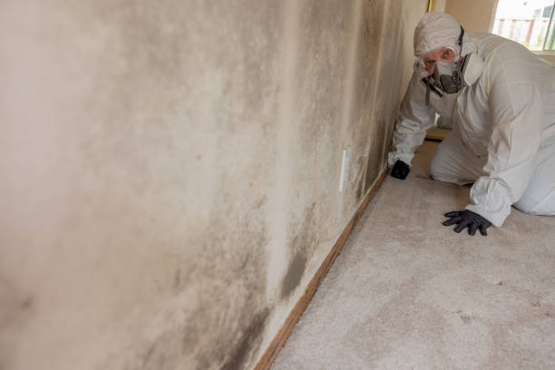Dehumidification Services in Suitland, MD
