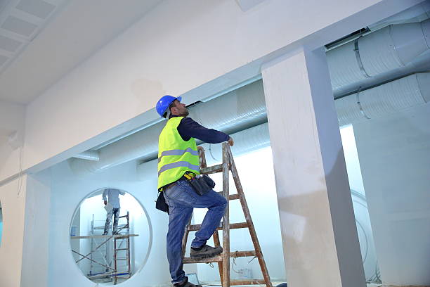 Best Black Mold Removal  in Suitland, MD